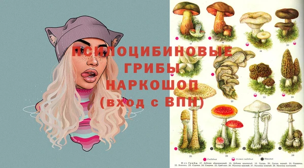 Альфа ПВП Богородицк