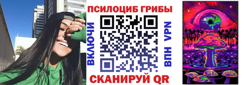 Галлюциногенные грибы Psilocybine cubensis гидра вход Навашино